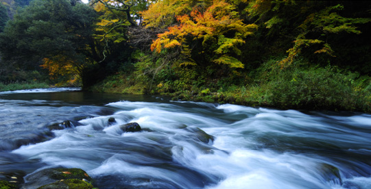 山中温泉の名所旧跡 – 山中温泉