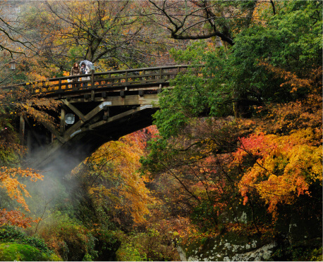 山中温泉の自然