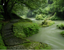 山中温泉の自然