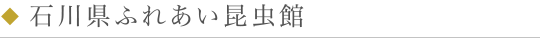 石川県ふれあい昆虫館