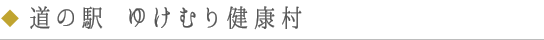 道の駅 ゆけむり健康村