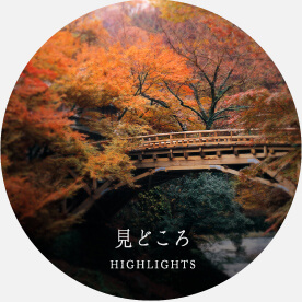 見どころ HIGHLIGHTS